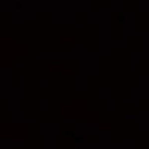 Meet your Posher, Bailey